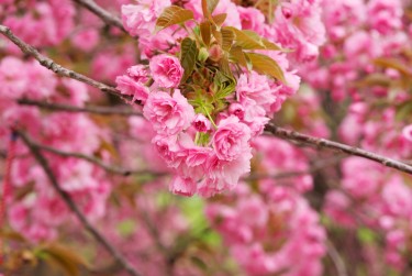 南通如皋8线下个人借款平台一站式服务，轻松解决资金难题