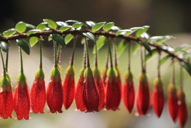 南通如皋8零用贷短借：轻松解决临时资金需求