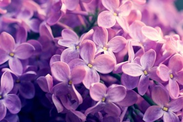 南通如皋8企业急用钱贷款攻略：快速融资解燃眉之急